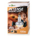 ReptiZoo Žárovka Intense Basking Spot 100W