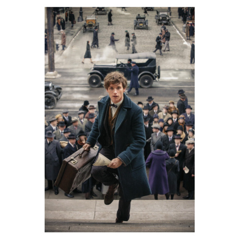 Plakát, Obraz - Fantastická zvířata - In rush, 26.7 × 40 cm Europosters