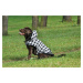 Vsepropejska Max zimní károvaná bunda pro psa Barva: Černo-bílá, Délka zad (cm): 39, Obvod hrudn