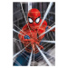 Plakát, Obraz - Spider-Man - Gotcha!, (61 x 91.5 cm)
