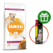 IAMS Dog Senior Large Chicken 12 kg