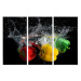 MyBestHome BOX Vícedílné plátno Papriky Ve Vodě Varianta: 100x150