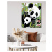 Diamantové malování - PANDA S MLÁDĚTEM Rozměr: 40x50 cm, Rámování: vypnuté plátno na rám