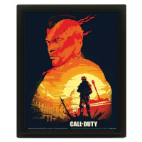 3D Obraz Call of Duty (Sunset)