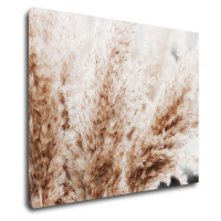 Impresi Obraz Suchá tráva skandinávský styl - 90 x 70 cm