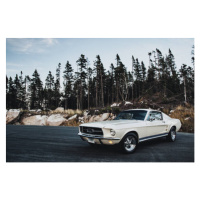 Ilustrace Vintage Muscle Car, shaunl, 40 × 26.7 cm