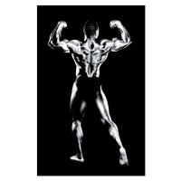 Fotografie Male bodybuilder flexing muscles, rear view (B&W), Robert Daly, 26.7 × 40 cm