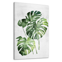 Obraz na plátně MONSTERA A různé rozměry Ludesign ludesign obrazy: 40x60 cm