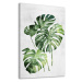 Obraz na plátně MONSTERA A různé rozměry Ludesign ludesign obrazy: 40x60 cm