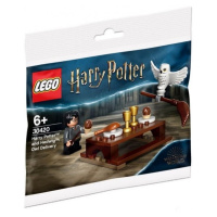 Lego® harry potter 30420 harry potter a sovička hedvika