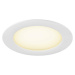 BIG WHITE (SLV) DOWNLIGHT V 150 plochý kryt bílá 1007480