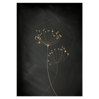 Ilustrace Black Gold Botanical No 2, Aureous, 30 × 40 cm