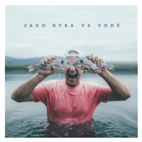 DJ Wich: Jako ryba ve vodě - CD