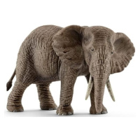 Schleich Samice slona afrického