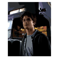 Harry Potter před zachraným kouzelníckým autobusem, 40×50 cm, bez rámu a bez vypnutí plátna