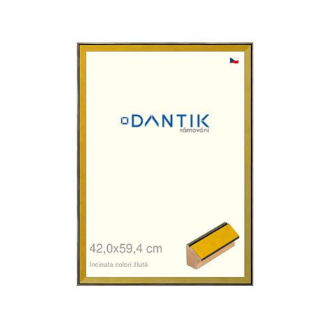 DANTIK rámeček 42 × 59,4, INCLINATA colori žlutý plexi čiré