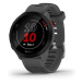 Garmin Forerunner 55 Monterra Grey