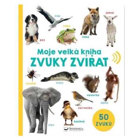 Knihy, CD a DVD pro děti Svojtka&Co.