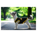 Vsepropejska Lolita tričko s nápisem security pro psa Barva: Černá, Délka zad (cm): 23, Obvod hr