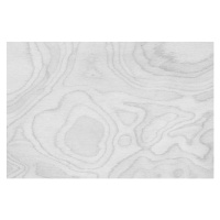 Fotografie Closeup surface abstract wood pattern at, kenkuza, (40 x 26.7 cm)