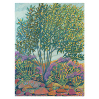 Ilustrace Green bush, Eleanor Baker, 30 × 40 cm