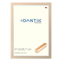 DANTIK rámeček 21 × 29,7, CARINA Bílý sklo čiré