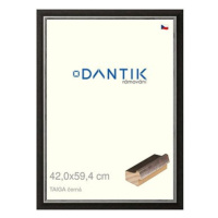 DANTIK rámeček 42 × 59,4, TAIGA černý plexi čiré