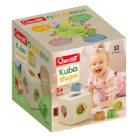 PlayBio Kubo Shape