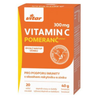 Vitar Vitamin C 300mg+rakytník+zinek sáčky 20x2g