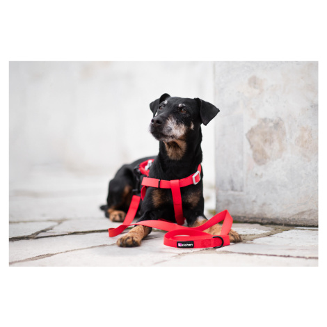 Vsepropejska Georgia postroj pro psa s vodítkem Barva: Červená, Obvod hrudníku: 37 - 50 cm
