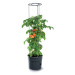 Květináč pro pěstování rajčat a jiných pnoucích rostlin, Grower antracit 39,2 cm PRIPOM400-S433