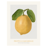 Obrazová reprodukce Lemon (Watercolour Kitchen Fruit), 30x40 cm