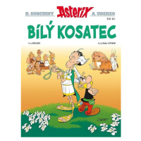 Asterix 40 - Bílý kosatec - Fabcaro