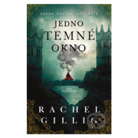 Jedno temné okno - Rachel Gillig - kniha z kategorie Fantasy