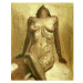 Obraz - Potetovaná nahá žena