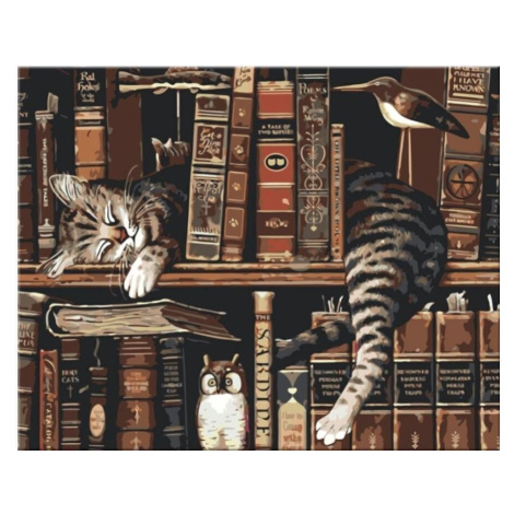 Zuty Malování podle čísel Kočka v knihovně