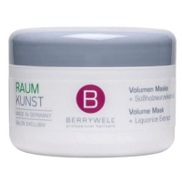 BERRYWELL Raum Kunst Volume Mask 201 ml