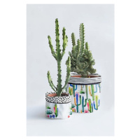 Sada 2 textilních obalů na květináč Surdic Watercolor Cactus