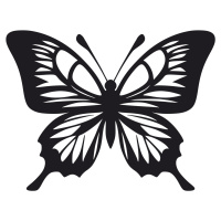Vsepropejska Motýl dekorace na zeď 3 Rozměr (cm): 38 x 29, Dekor: Černá
