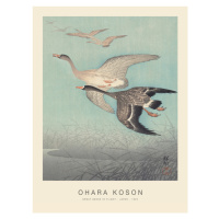 Obrazová reprodukce Great geese in flight (Special Edition) - Ohara Koson, (30 x 40 cm)