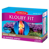 TEREZIA Klouby Fit 60 kapslí