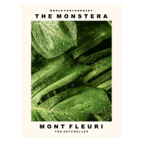 Fotografie The Monstera (Mont Fleuri, The Seychelles), 30 × 40 cm