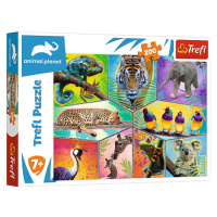 Trefl Puzzle 200 - V exotickém světě