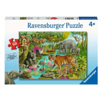 Puzzle 60 dílků Zvířata z Indie. Zvířata z Indie 051632 Ravensburger