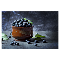Umělecká fotografie Blueberry, FAWZY HASSAN, (40 x 26.7 cm)