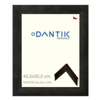 DANTIK rámeček 40 × 50, SARTORI listy čer.s. sklo čiré