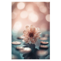 Fotografie Coral Blossom, Treechild, (26.7 x 40 cm)