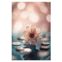 Fotografie Coral Blossom, Treechild, 26.7 × 40 cm