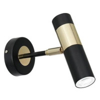 LED Nástěnné bodové svítidlo DALLAS 1xGU10/3W/230V