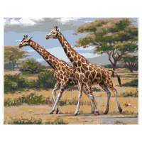 Zuty Malování podle čísel Africké Safari žirafy